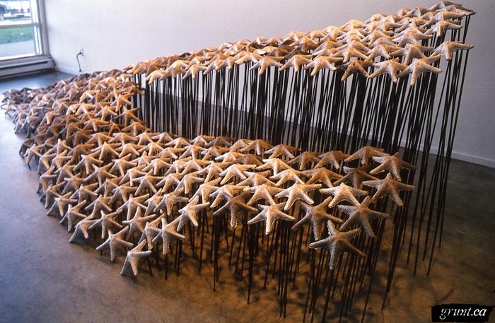 1999 05 10 Sculpture Stella Mare Catherine Ross side view