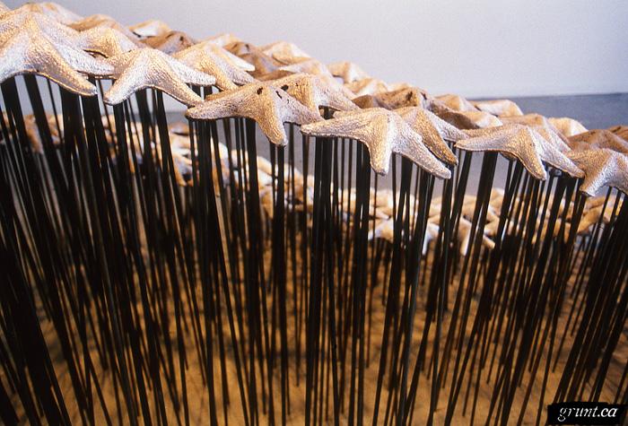 1999 05 10 Sculpture Stella Mare Catherine Ross starfish close up