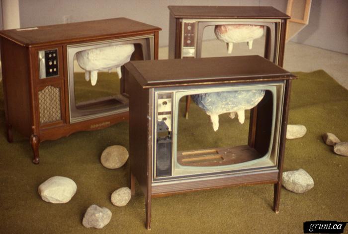 1986 06 24 Sculpture Kempton Dexter Digby County Pasture three televisions with udders installed in gallery on astroturf