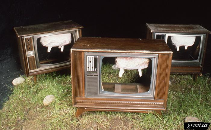 1986 06 24 Sculpture Kempton Dexter Digby County Pasture three televisions with udders installed in gallery on sod