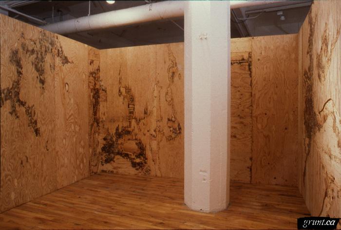 2005 04 01 Sculpture Buttress Yechel Gagnon cross ply installation gouged carved plywood